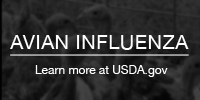 Avian Influenza USDA