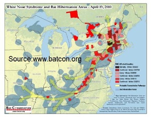 Hibernation areas