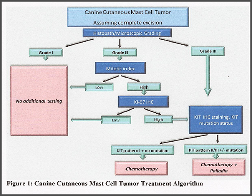 Canine MCT Treatment